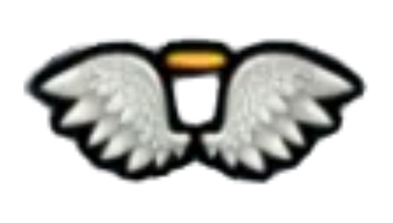 CUPID WINGS
