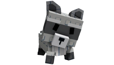 RACCOON