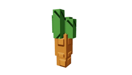 4000X CARROT SEED